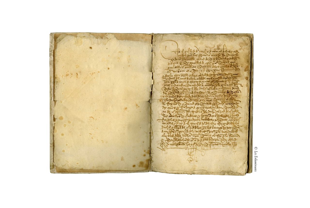 the wollaton medieval manuscripts