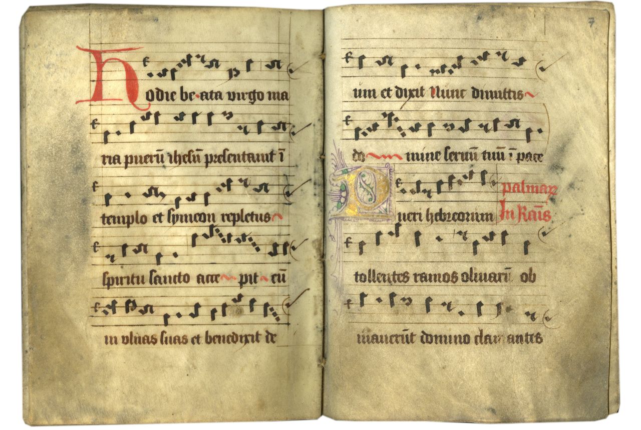 tumblr the 5 fs of medieval manuscripts